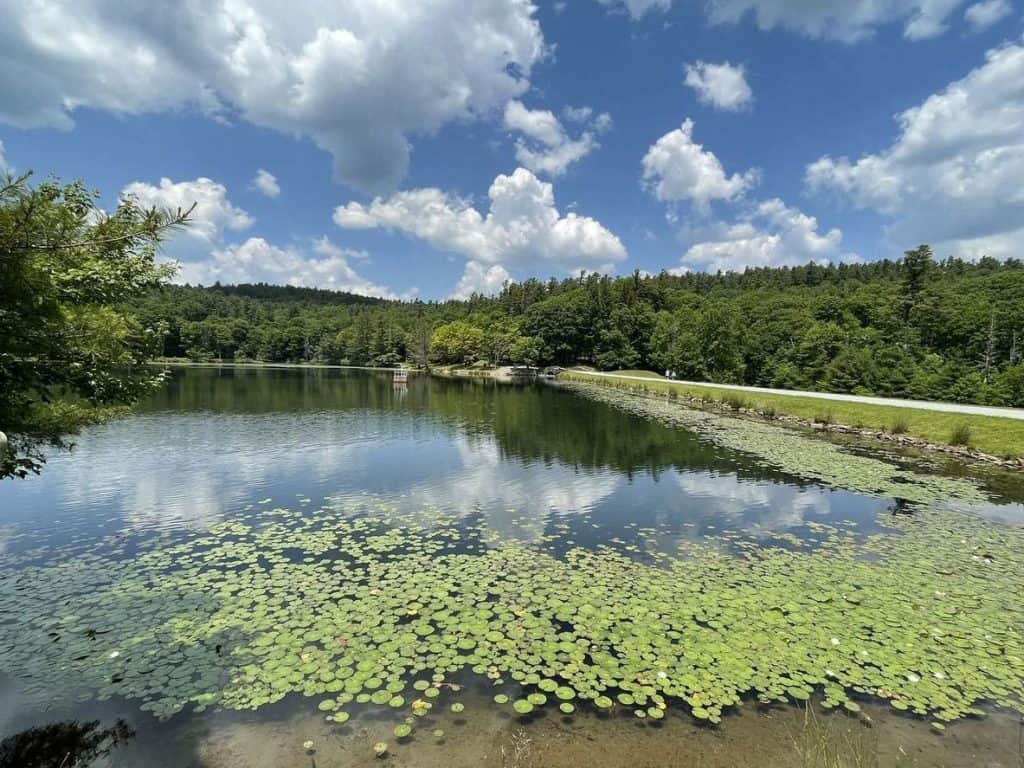 Bass Lake Loop Trail | Blowing Rock Hikes