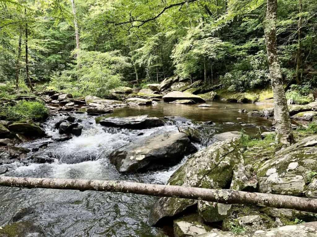 A gentle mountain stream amidst the forest along the Boone Fork Trail in Blowing Rock, North Carolina.
