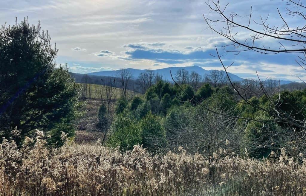 Green Knob Trail | Blowing Rock Hikes