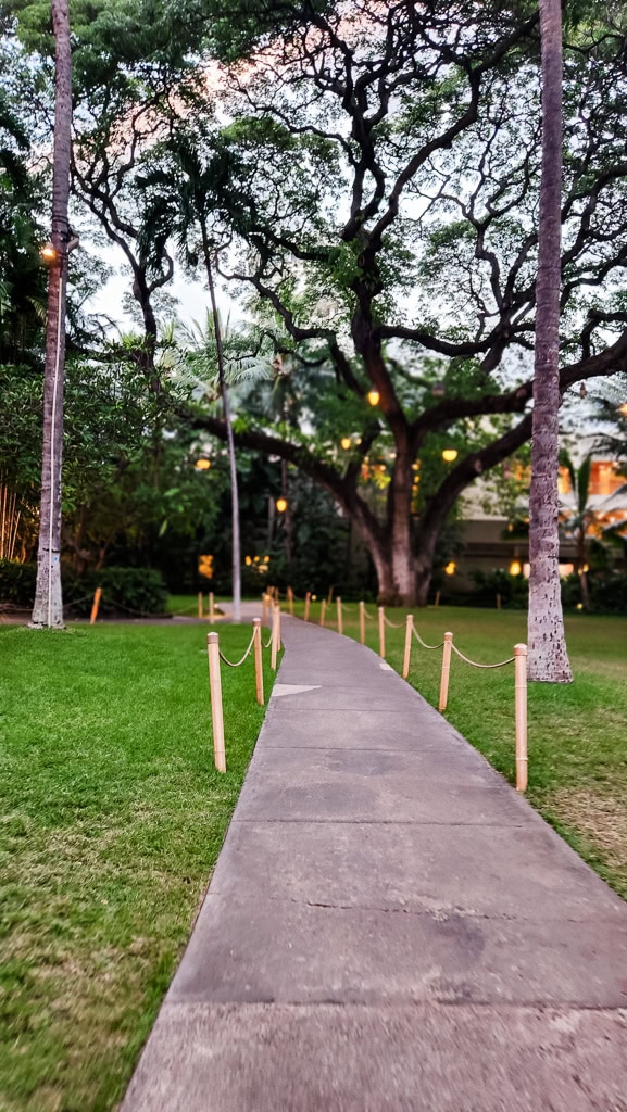 Curving concrete walkway lined with rope-tied bamboo posts winding through the lush Queen’s Gardens at The Royal Hawaiian Hotel in Waikīkī, Hawaii. Towering tropical trees and gently glowing lanterns create a serene, twilight atmosphere beneath a canopy of branches.