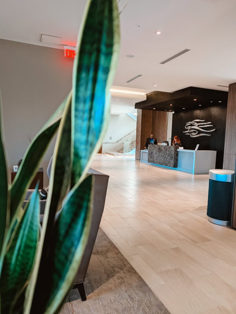 A sleek, modern hotel lobby at AC Hotel Downtown Huntsville, with a tall snake plant in the foreground partially obscuring the view of the reception desk and dark wood-paneled wall with a silver abstract logo.
