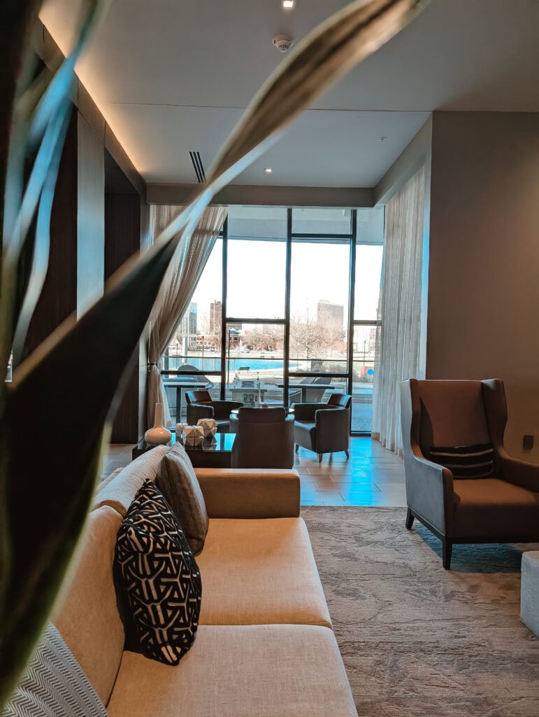 Cozy lounge area at the AC Hotel Huntsville Downtown, featuring a cream-colored sofa with geometric black-and-white throw pillows, modern armchairs, and a clear view out to Big Spring International Park through floor-to-ceiling windows. A large plant leaf partially frames the image in the foreground.