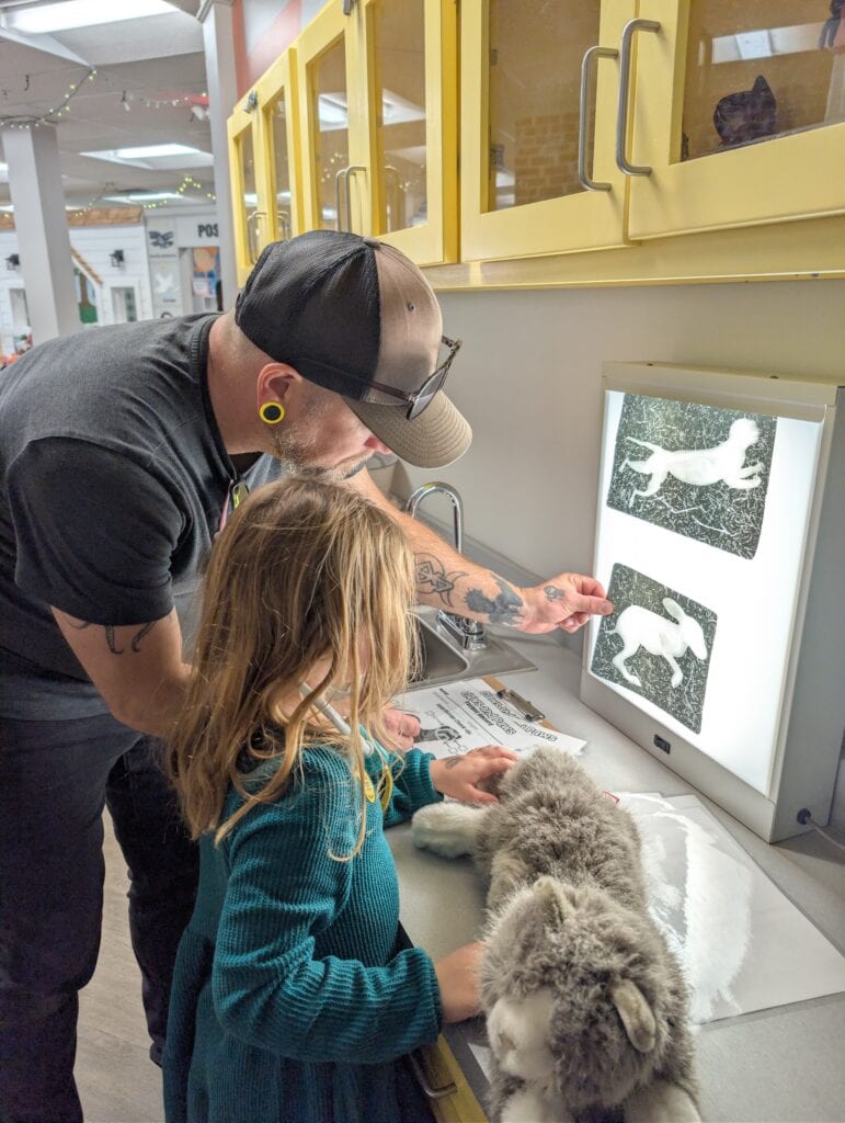 An father and his daughter lean over an interactive veterinarian station while examining glowing silhouettes of rabbits on a vertical light box at Zing Zumm Children's Museum in Jacksonville, NC. 